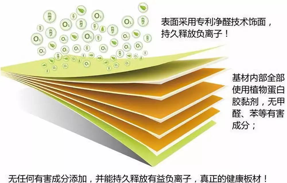 濃情端午,粽葉飄香 環(huán)保生活，健康你我